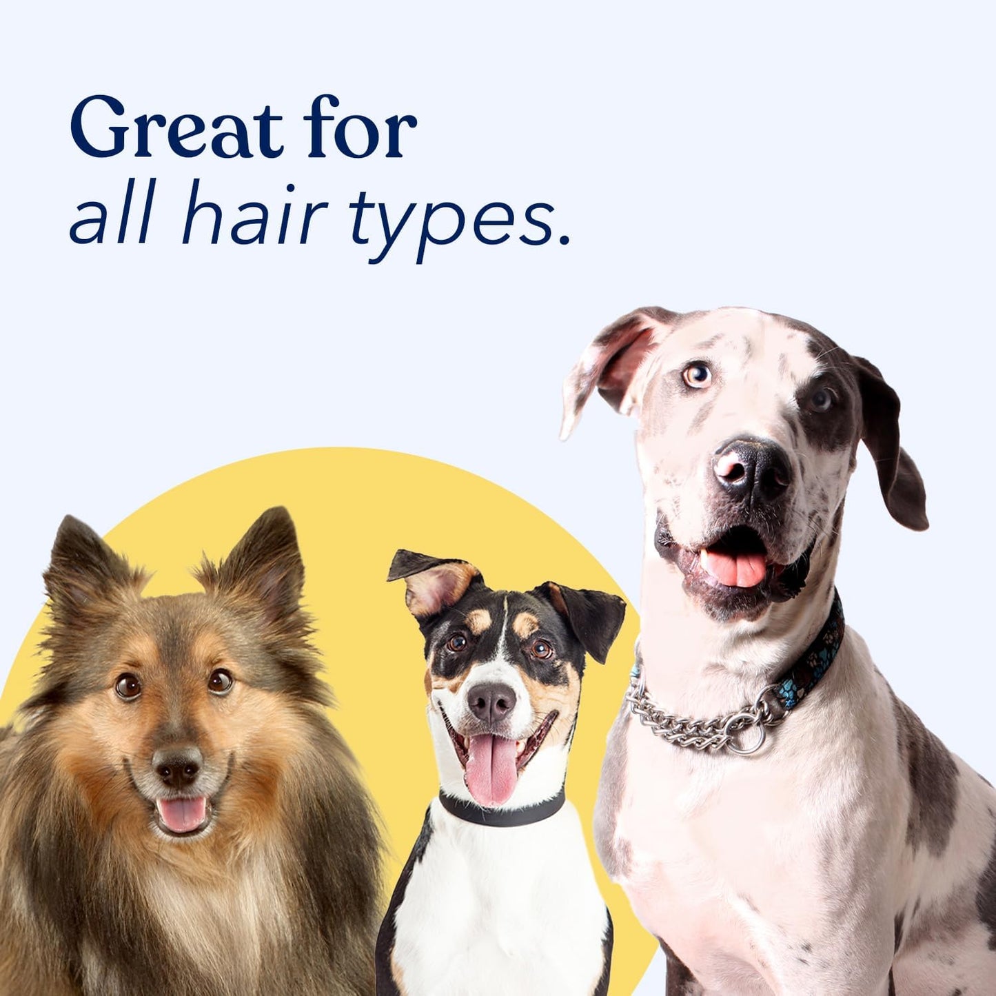 Dog Dry Shampoo
